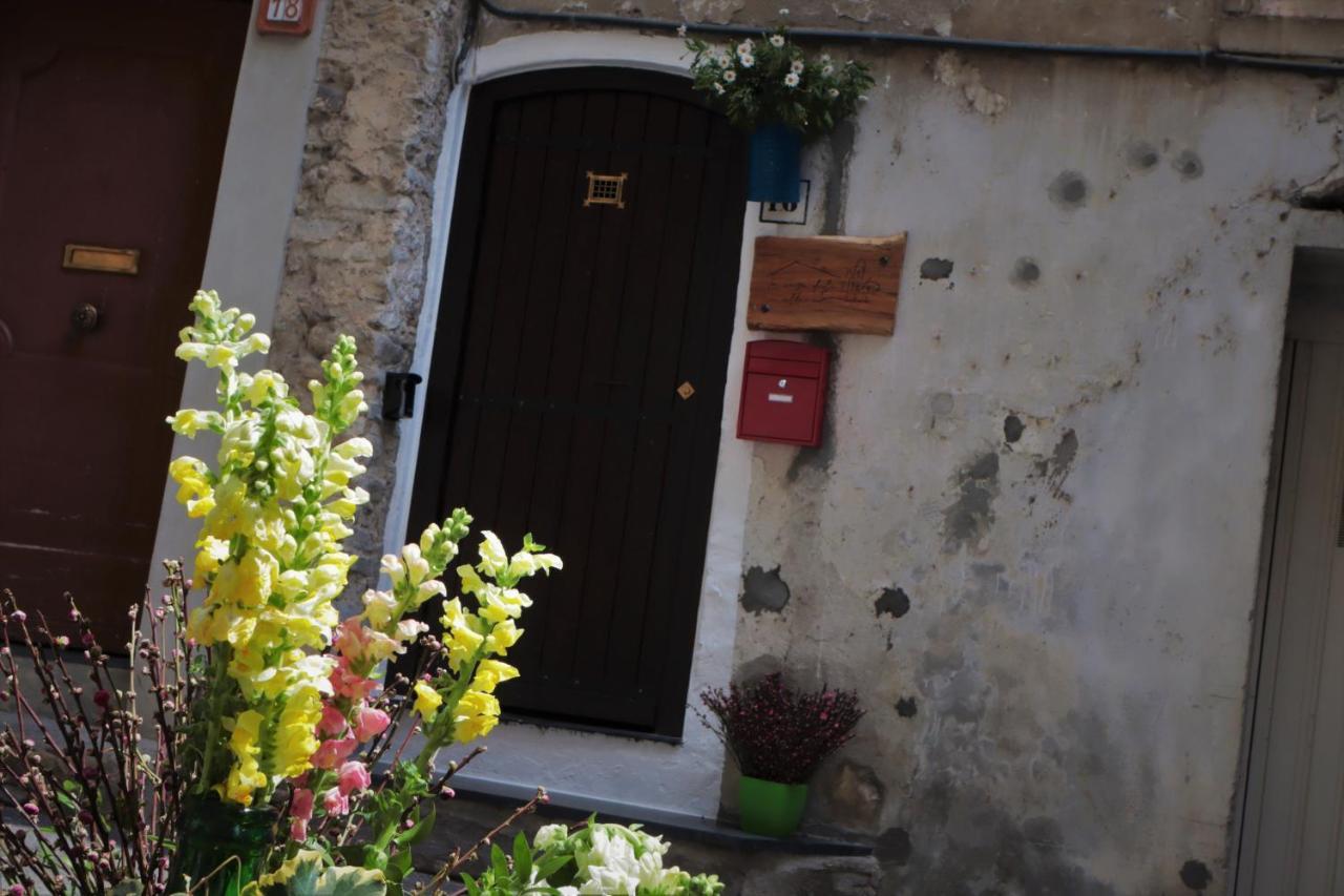 فيلا La Casa Degli Alberi دولشياكا المظهر الخارجي الصورة