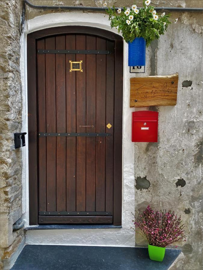 فيلا La Casa Degli Alberi دولشياكا المظهر الخارجي الصورة