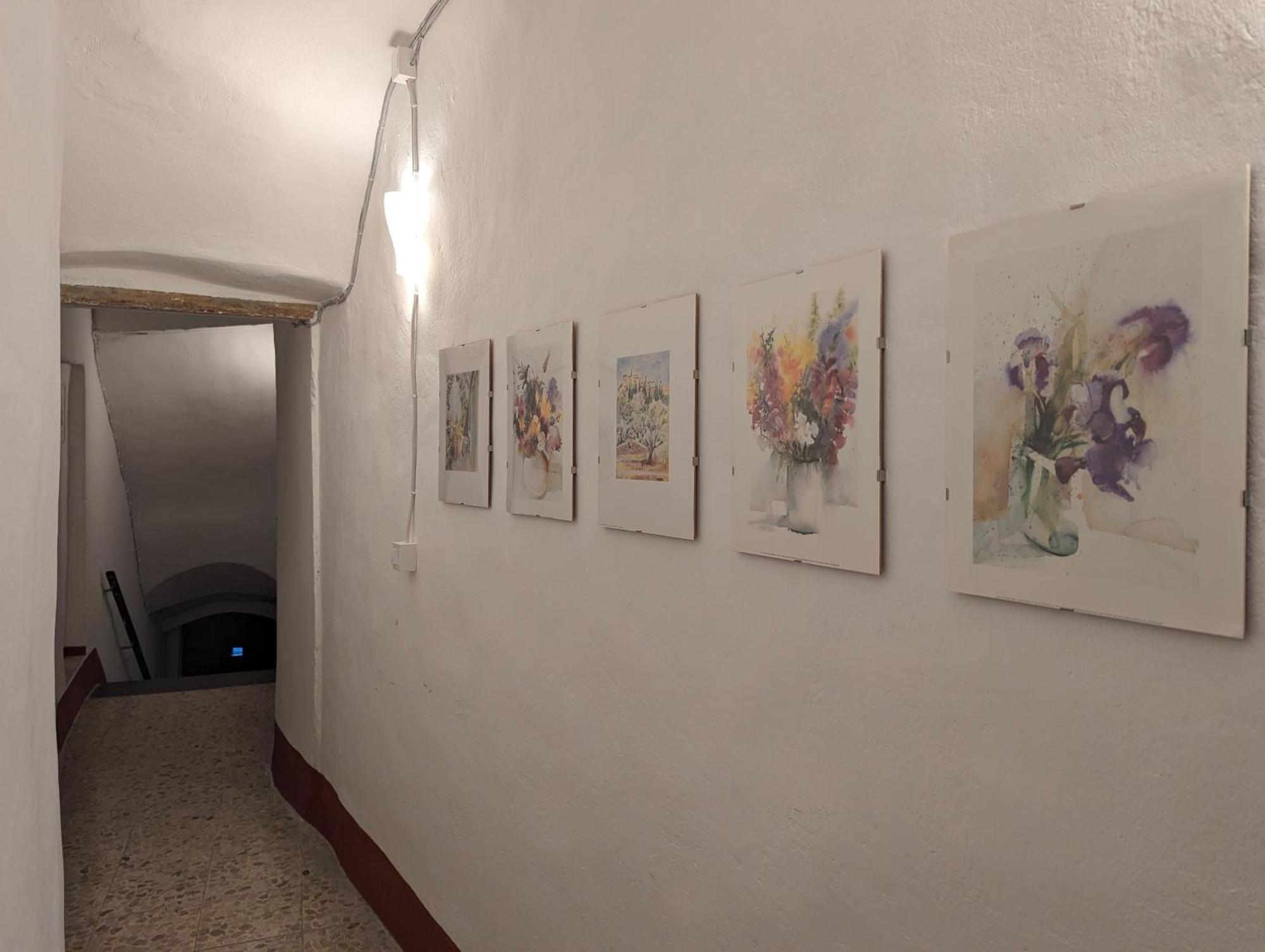 فيلا La Casa Degli Alberi دولشياكا المظهر الخارجي الصورة